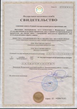 Certificate OGRN 12-09-2007
